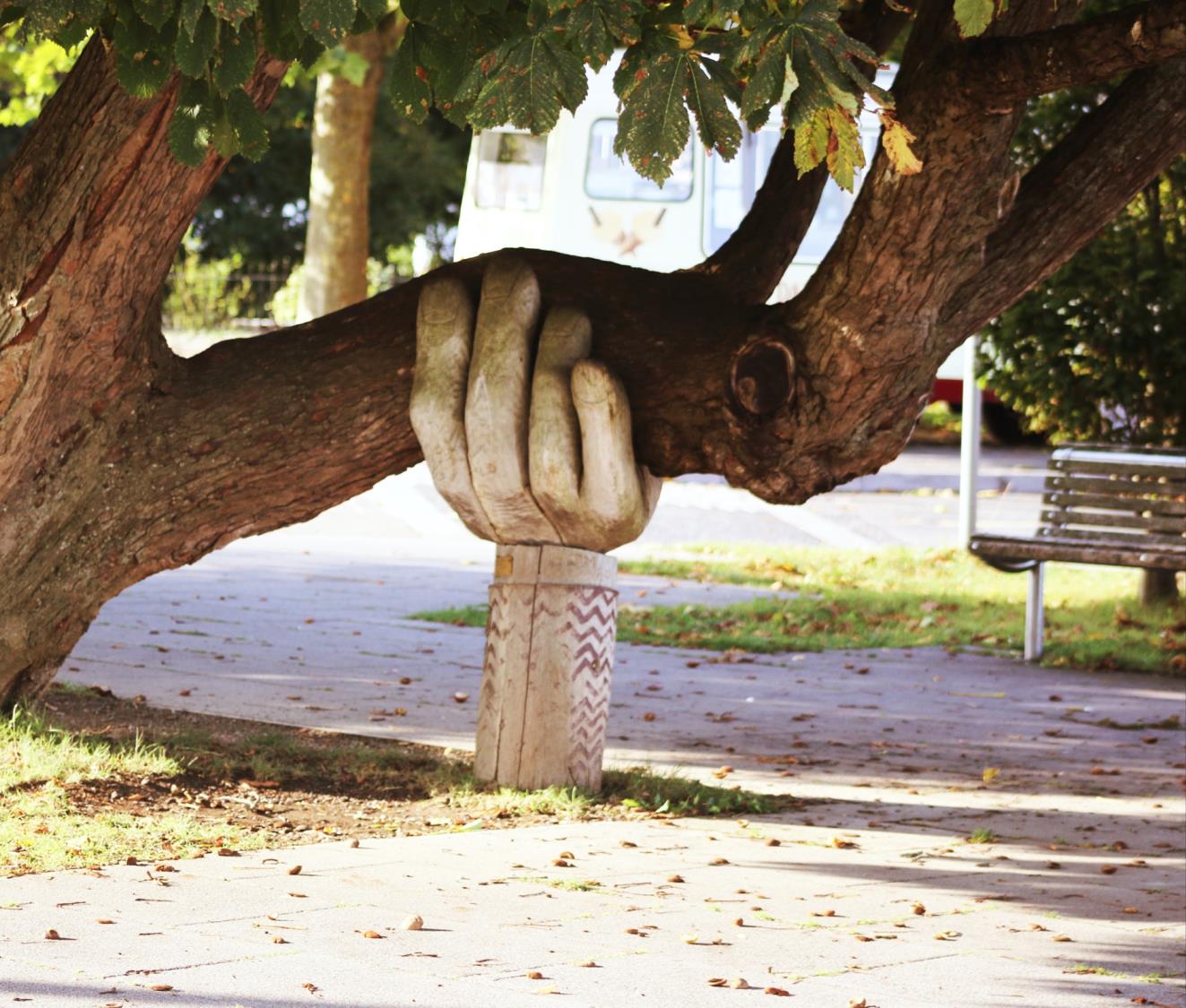 Manos estrechadas junto a un árbol